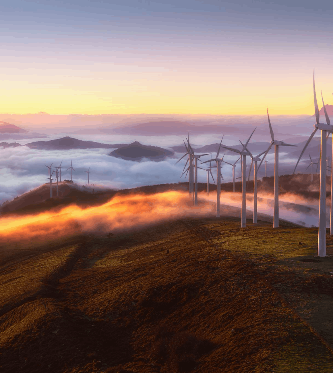Financial and energy market data charts